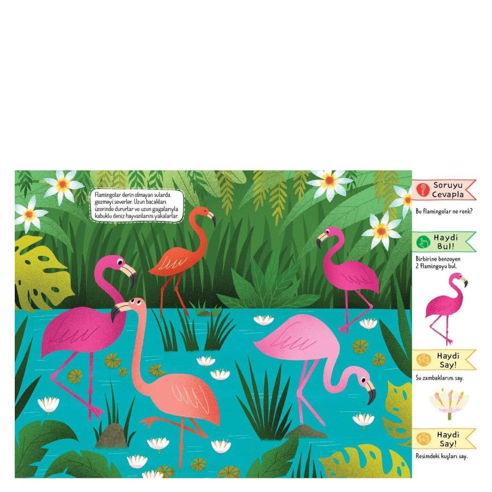 DOĞAL YAŞAMDA SAFARİ Çocuk Kitapları Uzmanı - Children's Books Expert