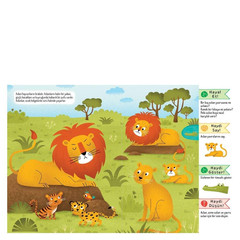 DOĞAL YAŞAMDA SAFARİ Çocuk Kitapları Uzmanı - Children's Books Expert