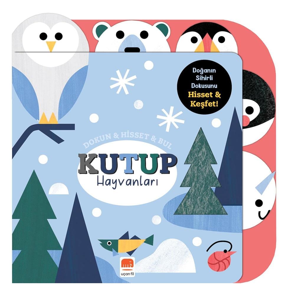 Dokun Hisset Bul - Kutup Hayvanları Çocuk Kitapları Uzmanı - Children's Books Expert