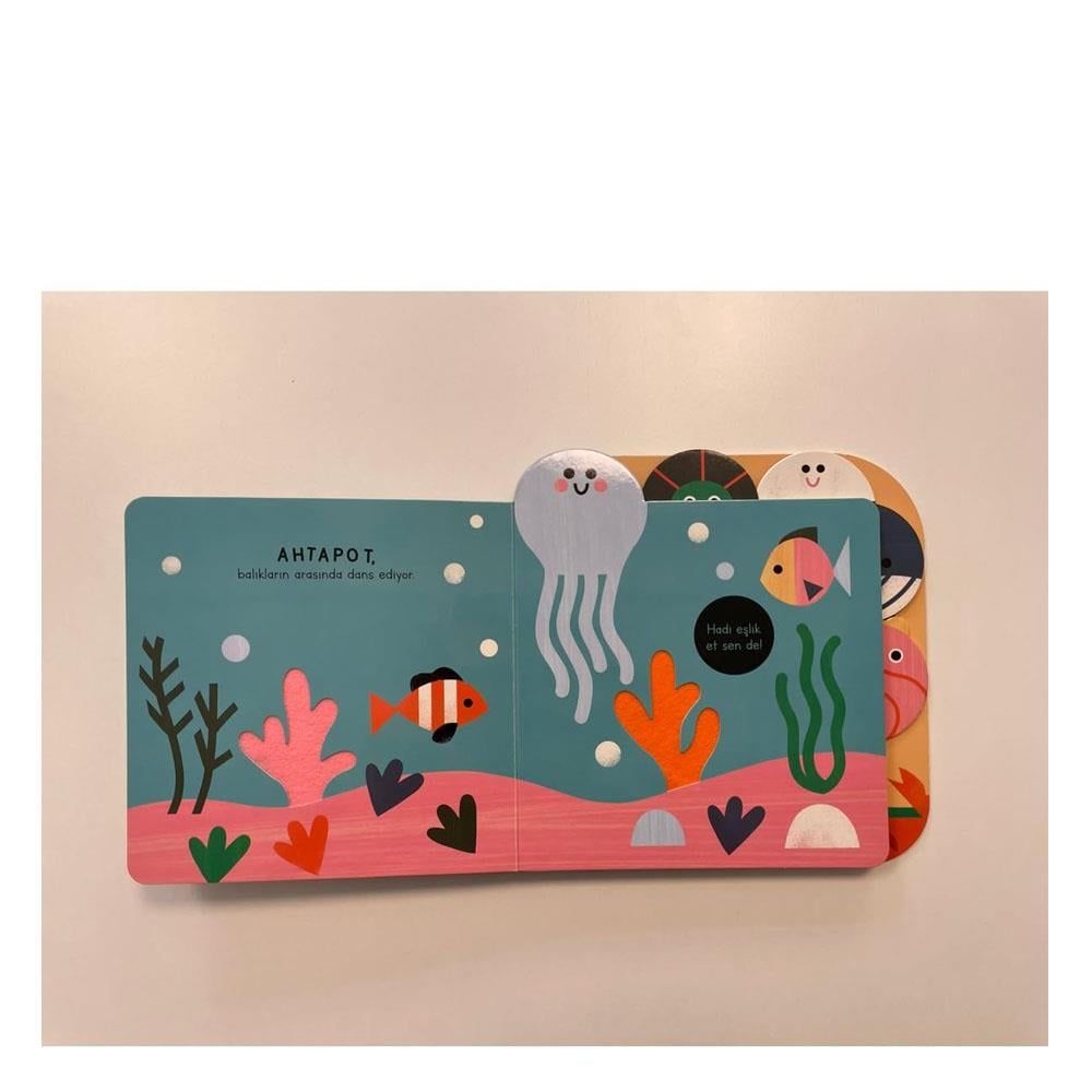 Dokun Hisset Bul - Okyanus Hayvanları Çocuk Kitapları Uzmanı - Children's Books Expert