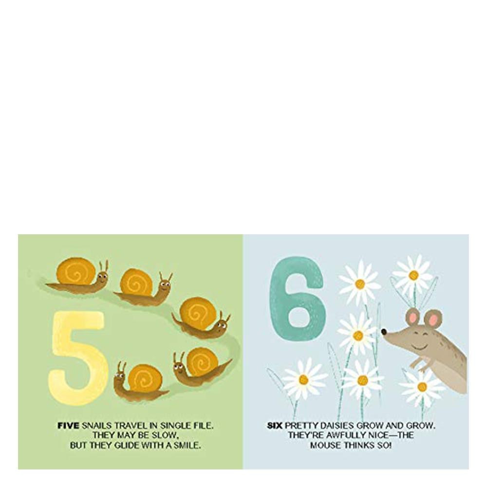 EDU BLOCKS - NATURE Çocuk Kitapları Uzmanı - Children's Books Expert