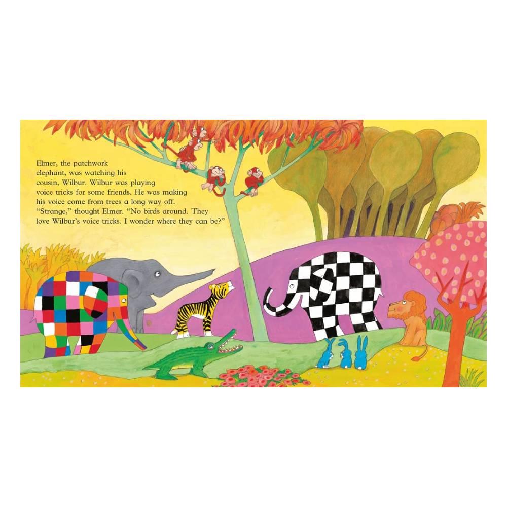 ELMER AND THE BIG BIRD Çocuk Kitapları Uzmanı - Children's Books Expert