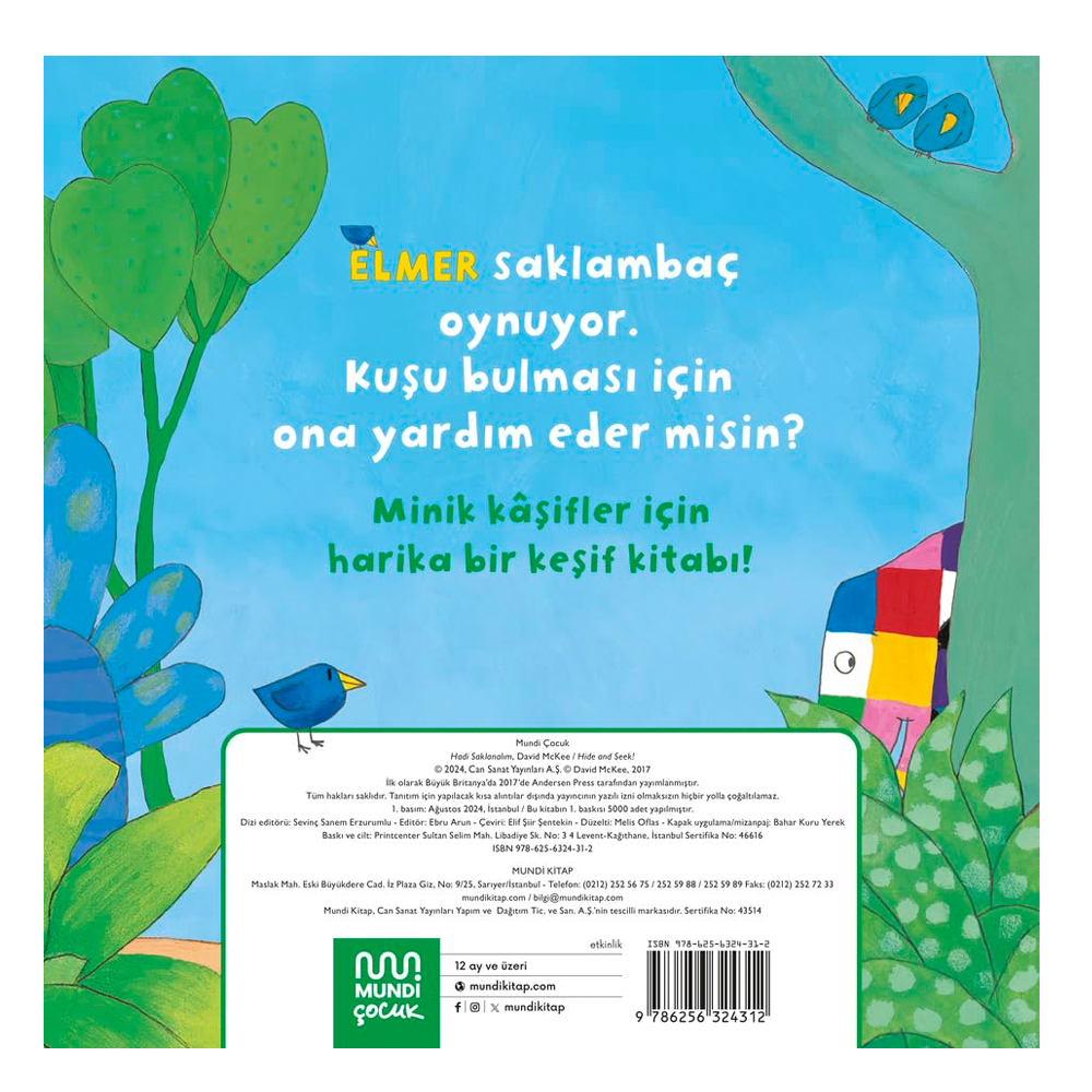 Elmer Hadi Saklanalım Çocuk Kitapları Uzmanı - Children's Books Expert