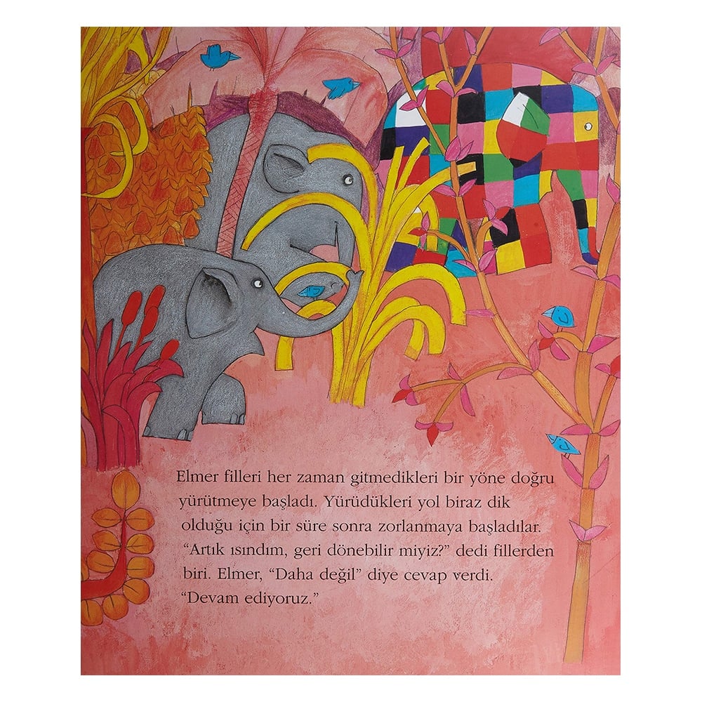 ELMER KAR KEYFİ Çocuk Kitapları Uzmanı - Children's Books Expert