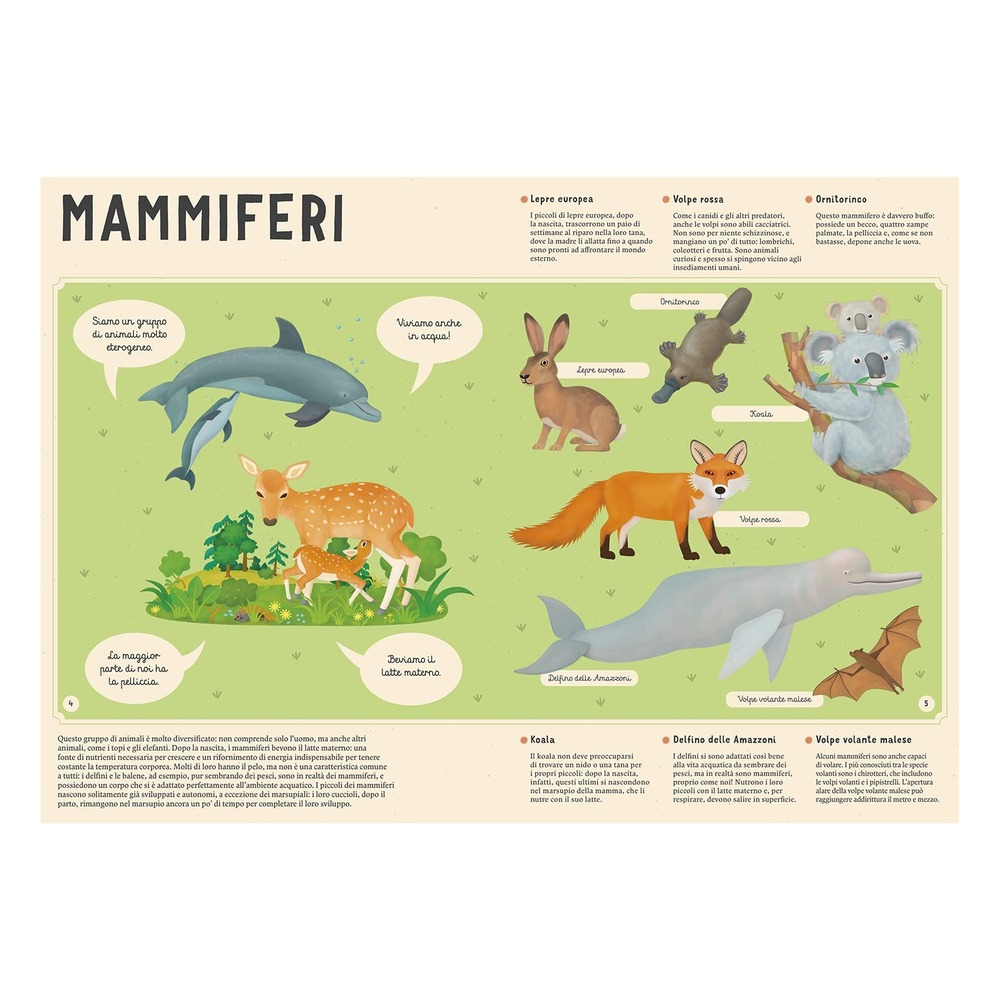 Enciclopedia Degli Animali Per Piccoli Lettori Nuo Çocuk Kitapları Uzmanı - Children's Books Expert