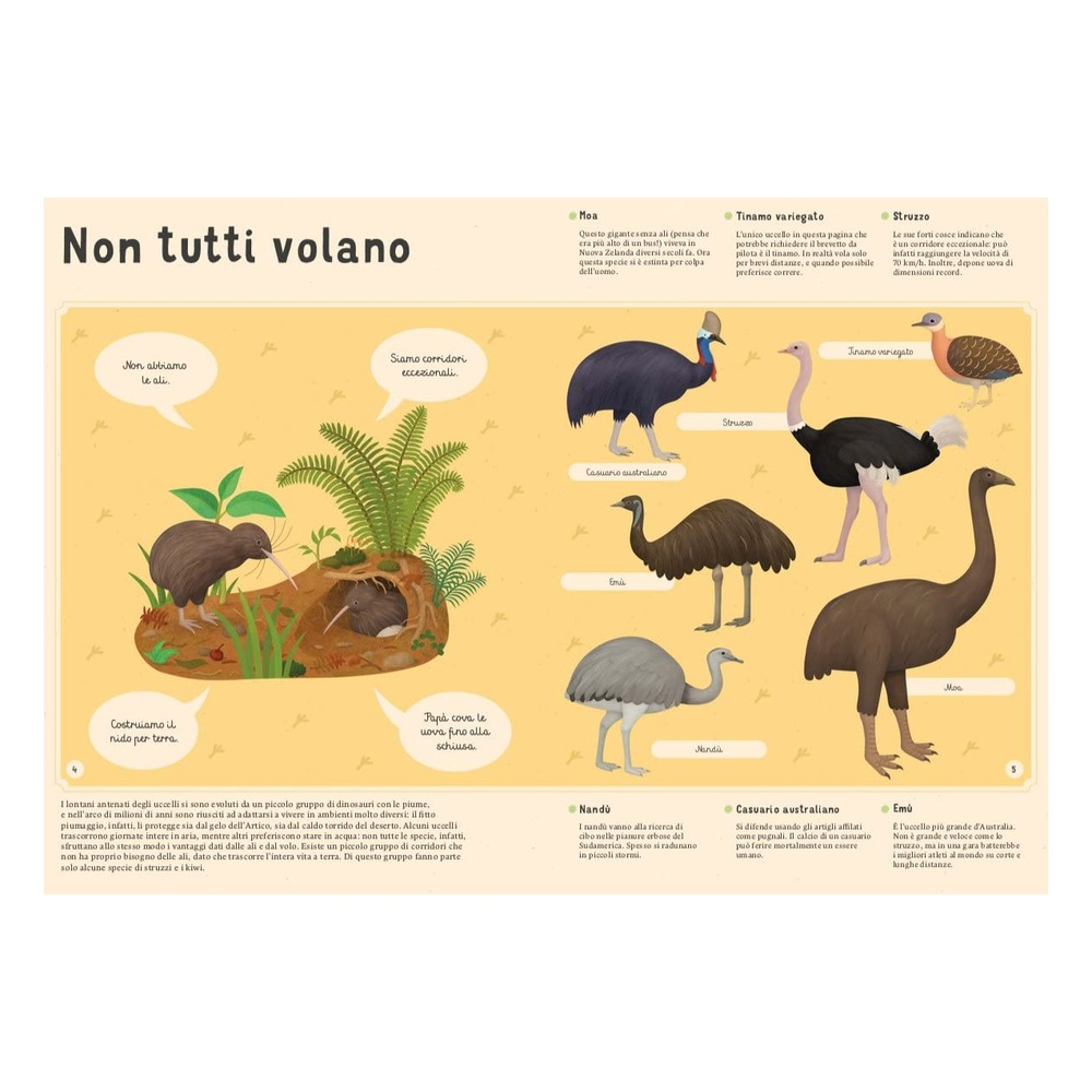 Enciclopedia Degli Uccelli Per Piccoli Lettori Nuo Çocuk Kitapları Uzmanı - Children's Books Expert