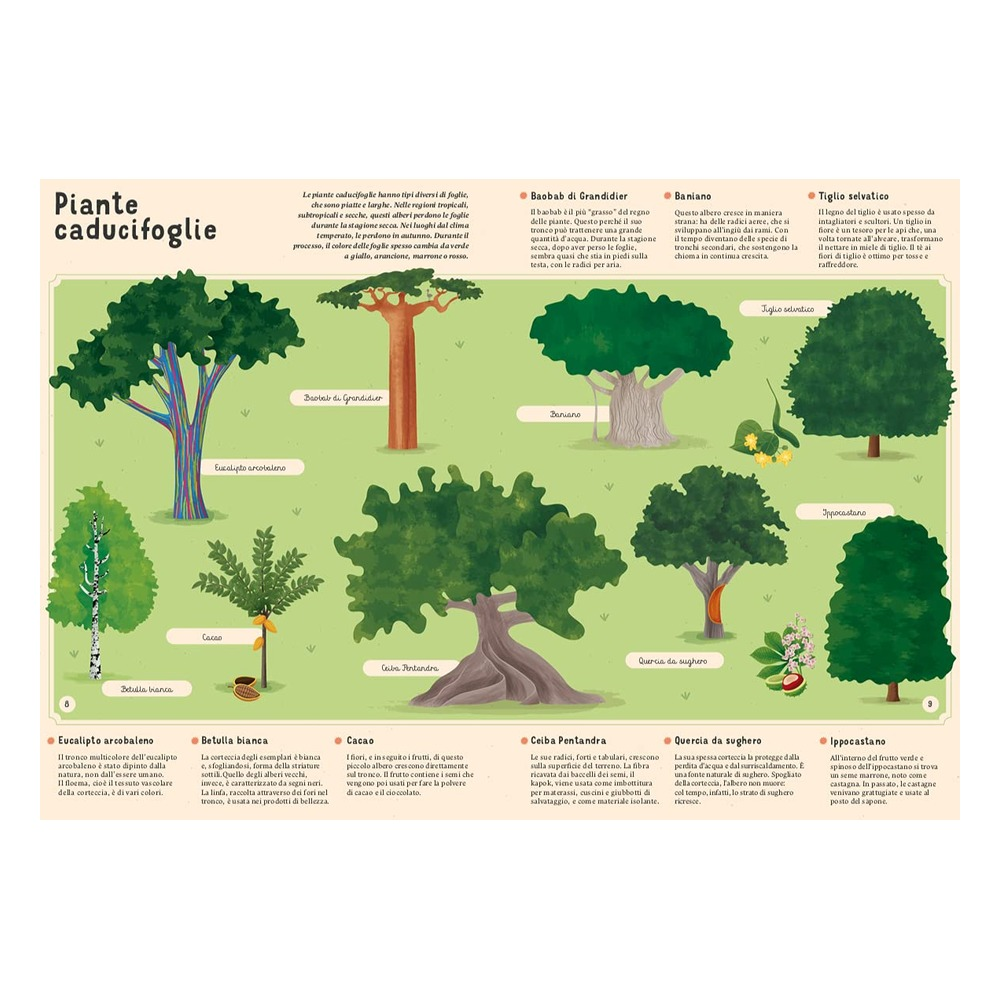 Enciclopedia Di Piante, Funghi E Licheni Per Picco Çocuk Kitapları Uzmanı - Children's Books Expert