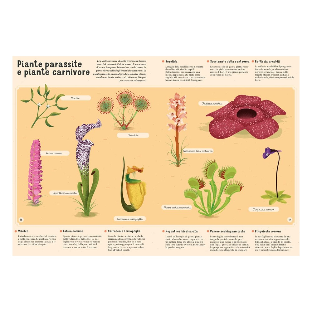 Enciclopedia Di Piante, Funghi E Licheni Per Picco Çocuk Kitapları Uzmanı - Children's Books Expert