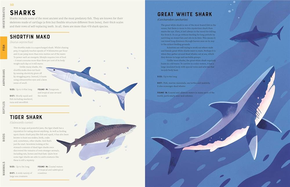 Encyclopedia of Animals Çocuk Kitapları Uzmanı - Children's Books Expert