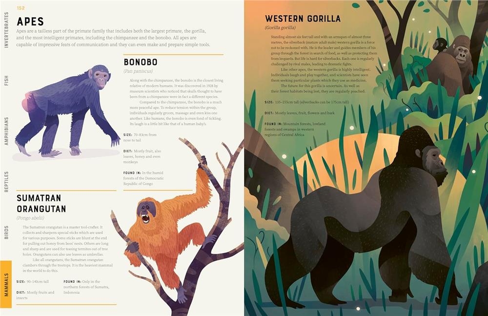 Encyclopedia of Animals Çocuk Kitapları Uzmanı - Children's Books Expert