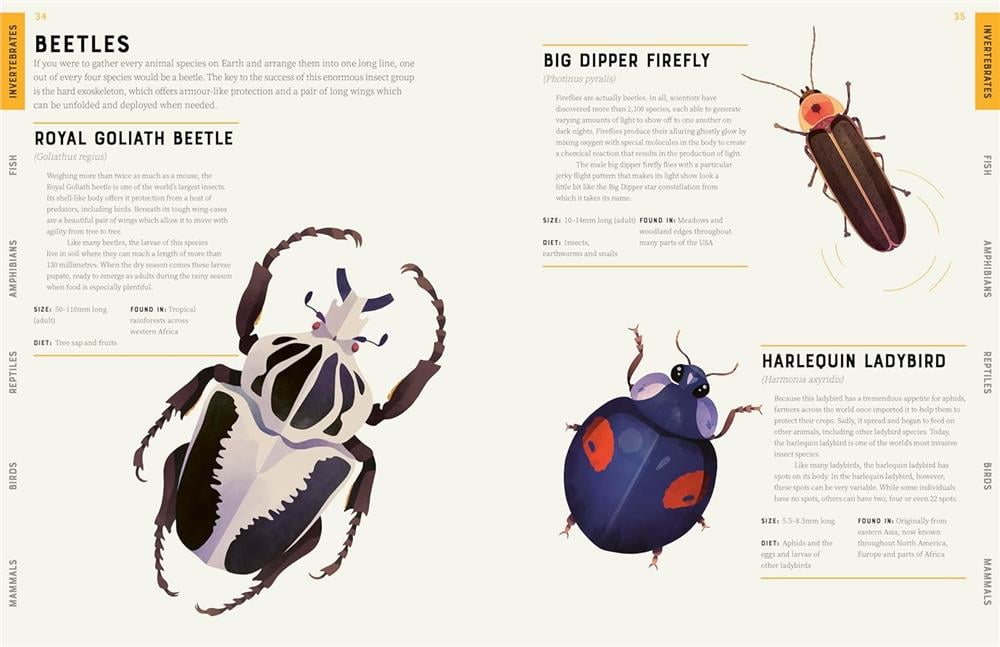 Encyclopedia of Animals Çocuk Kitapları Uzmanı - Children's Books Expert