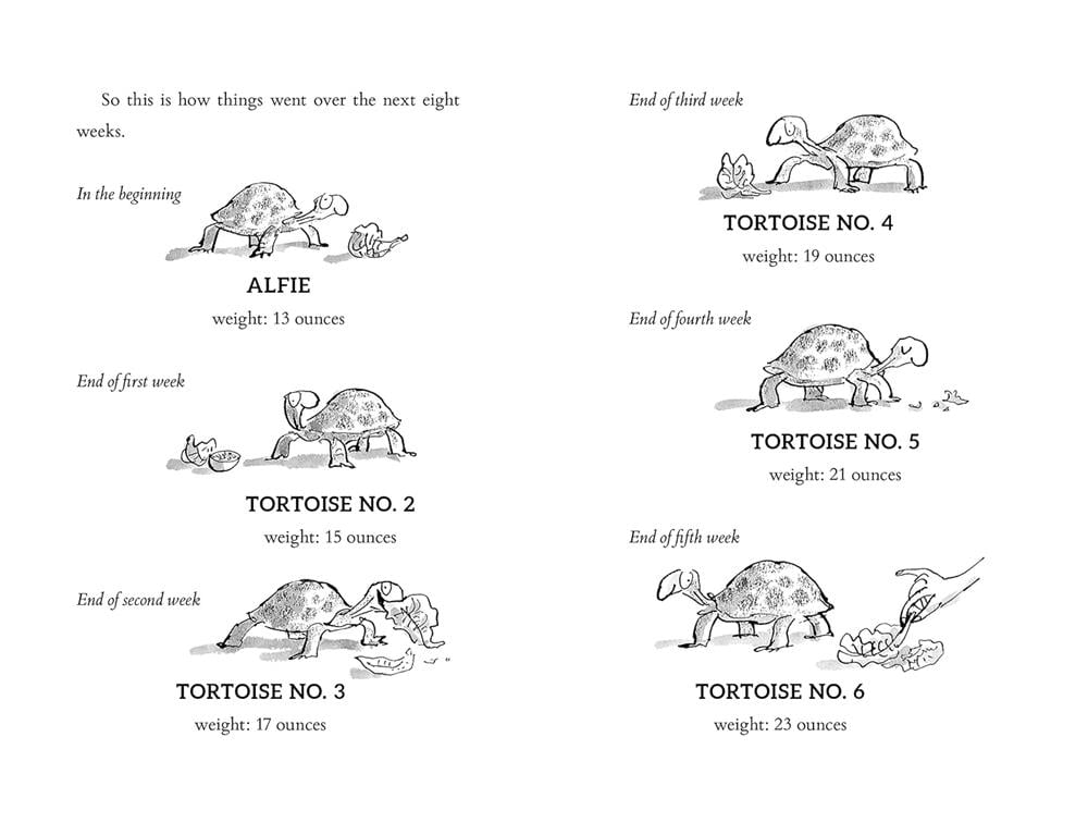 Esio Trot - Paperback Çocuk Kitapları Uzmanı - Children's Books Expert