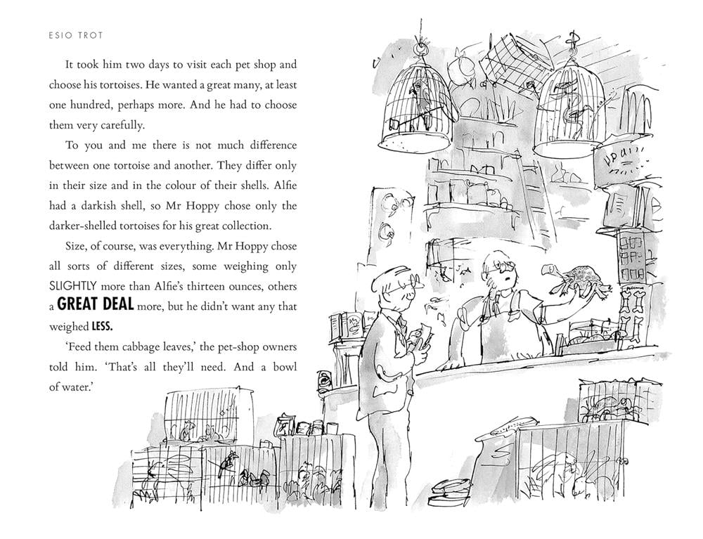 Esio Trot - Paperback Çocuk Kitapları Uzmanı - Children's Books Expert