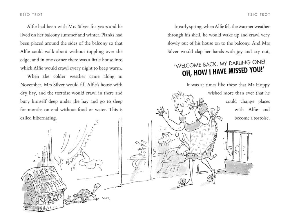 Esio Trot - Paperback Çocuk Kitapları Uzmanı - Children's Books Expert