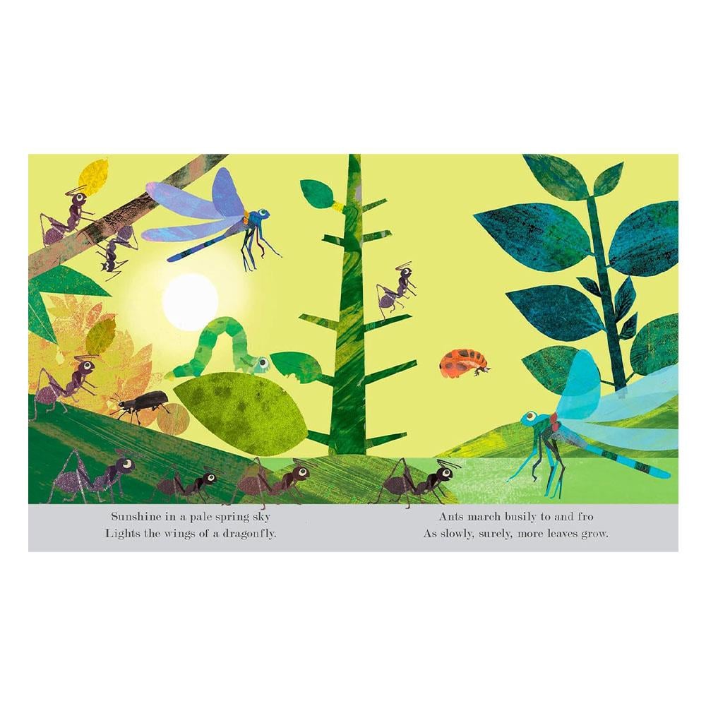 Explore a Tiny World Full of Life - Bugs Çocuk Kitapları Uzmanı - Children's Books Expert