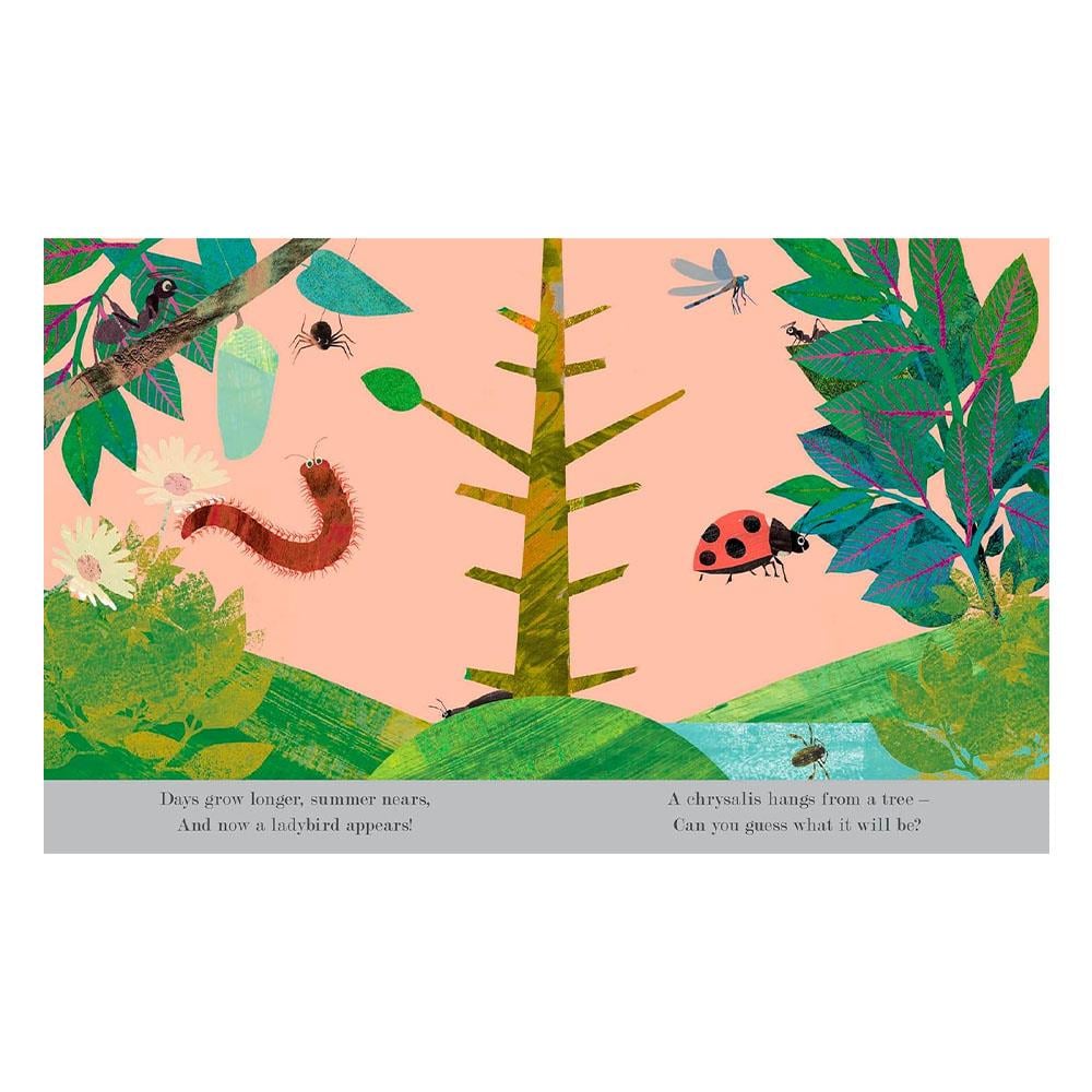 Explore a Tiny World Full of Life - Bugs Çocuk Kitapları Uzmanı - Children's Books Expert