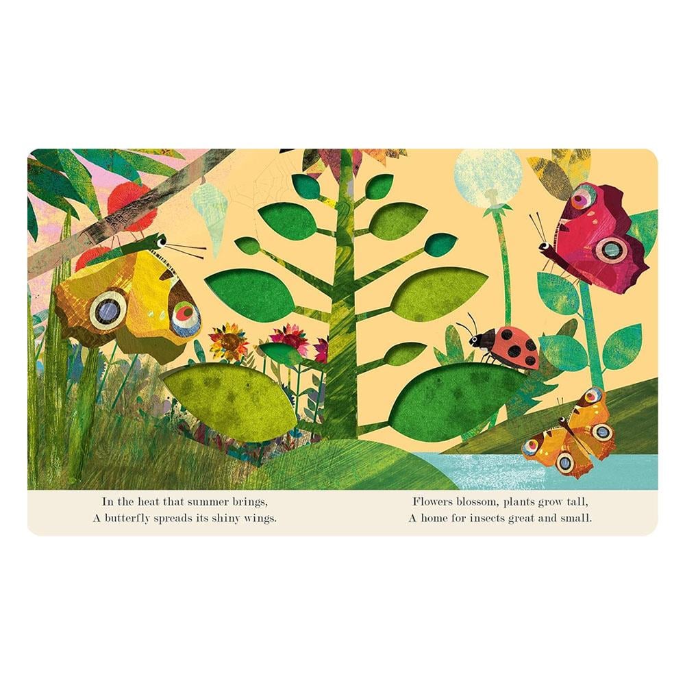 Explore a Tiny World Full of Life - Bugs Çocuk Kitapları Uzmanı - Children's Books Expert