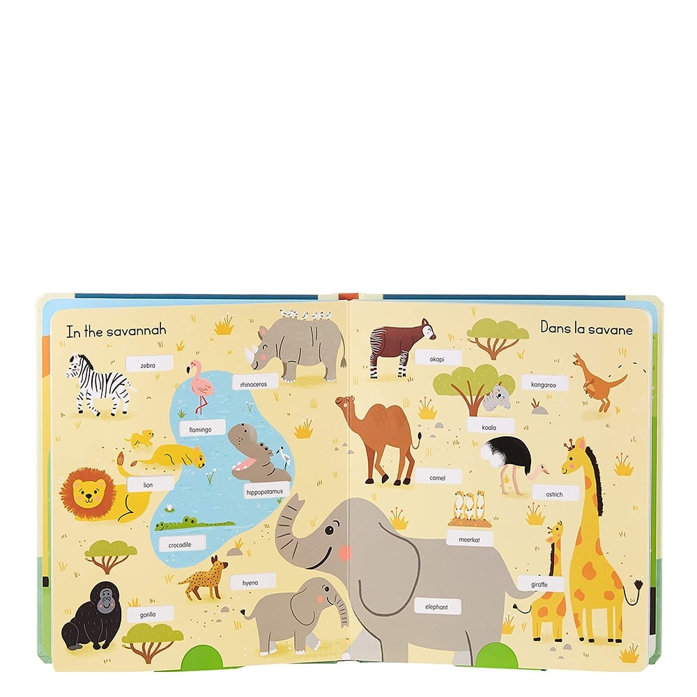 FIRST 100 FRENCH WORDS - THE WORLD AROUND ME Çocuk Kitapları Uzmanı - Children's Books Expert
