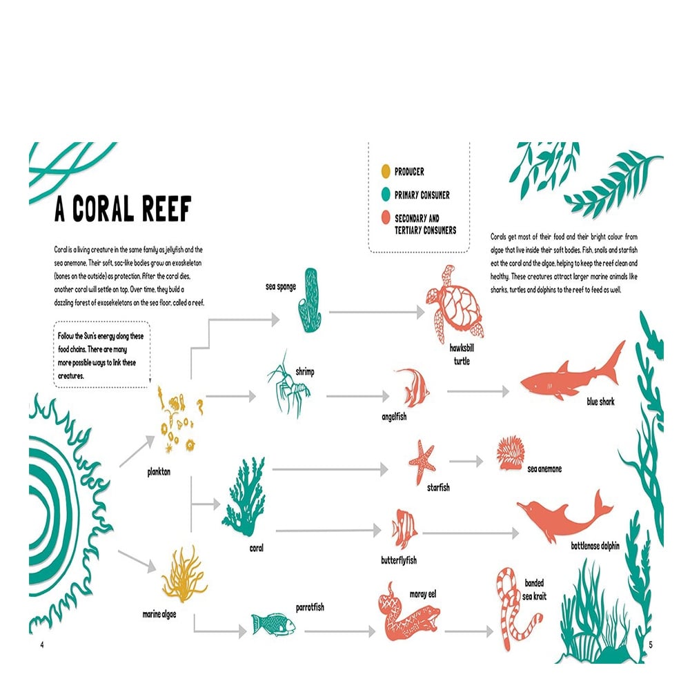FOOD CHAINS: WHO EATS WHAT? #yenigelenler Çocuk Kitapları Uzmanı - Children's Books Expert