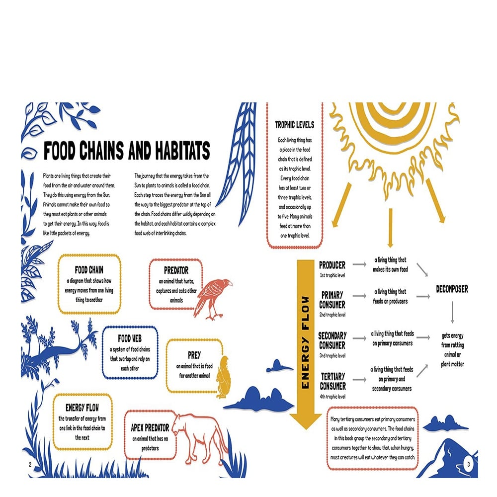 FOOD CHAINS: WHO EATS WHAT? #yenigelenler Çocuk Kitapları Uzmanı - Children's Books Expert