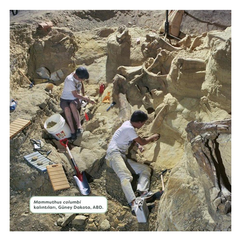 FOSİLLER - GENÇ BİR BİLİM İNSANI İÇİN KILAVUZ Çocuk Kitapları Uzmanı - Children's Books Expert