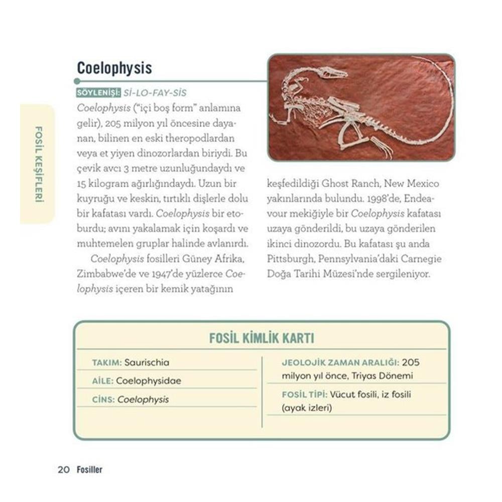 FOSİLLER - GENÇ BİR BİLİM İNSANI İÇİN KILAVUZ Çocuk Kitapları Uzmanı - Children's Books Expert