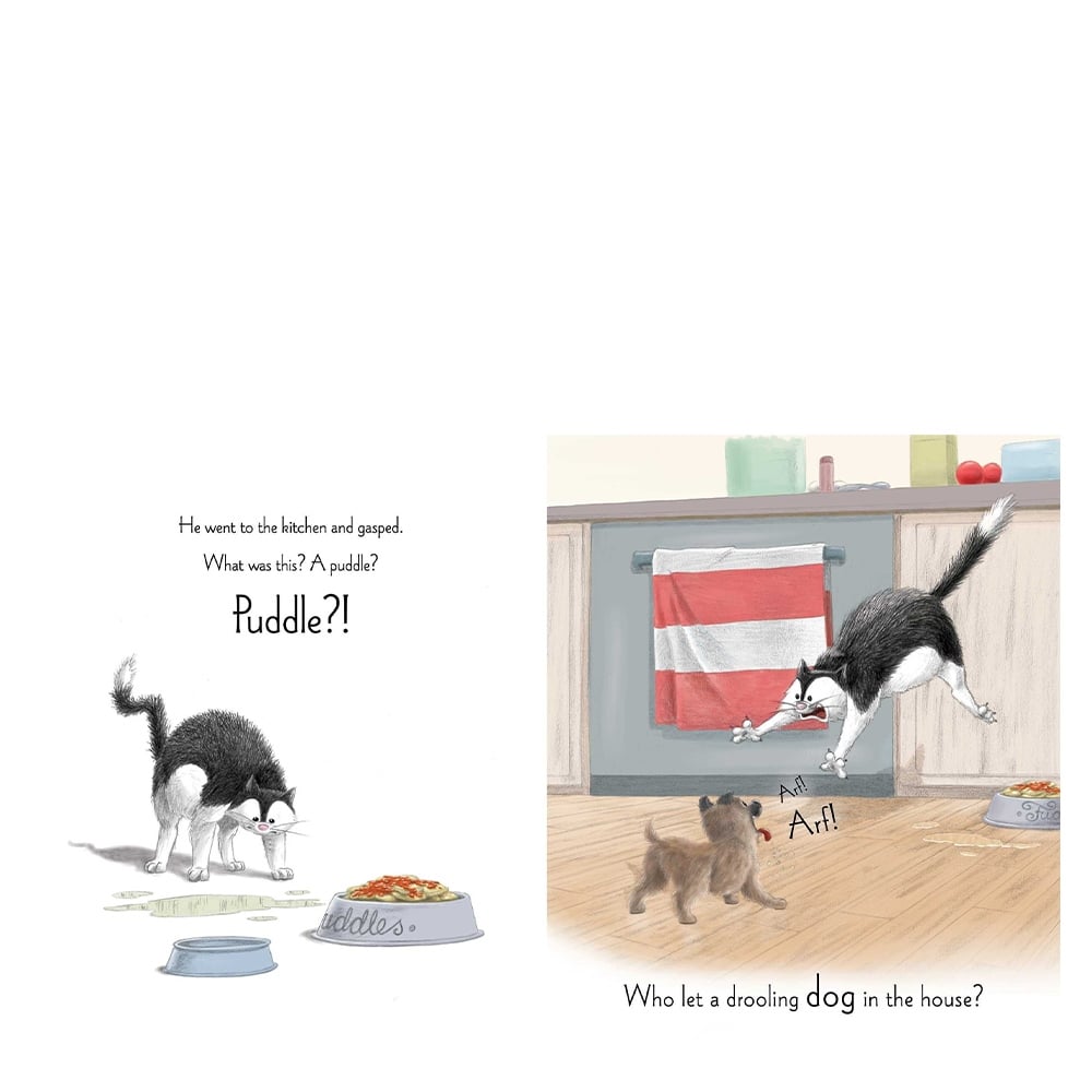 FUDDLES AND PUDDLES Çocuk Kitapları Uzmanı - Children's Books Expert
