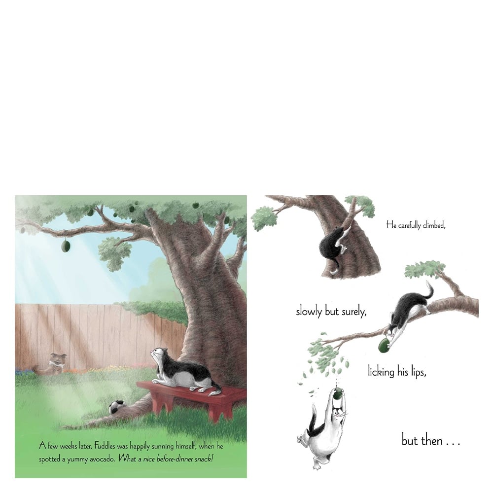 FUDDLES AND PUDDLES Çocuk Kitapları Uzmanı - Children's Books Expert