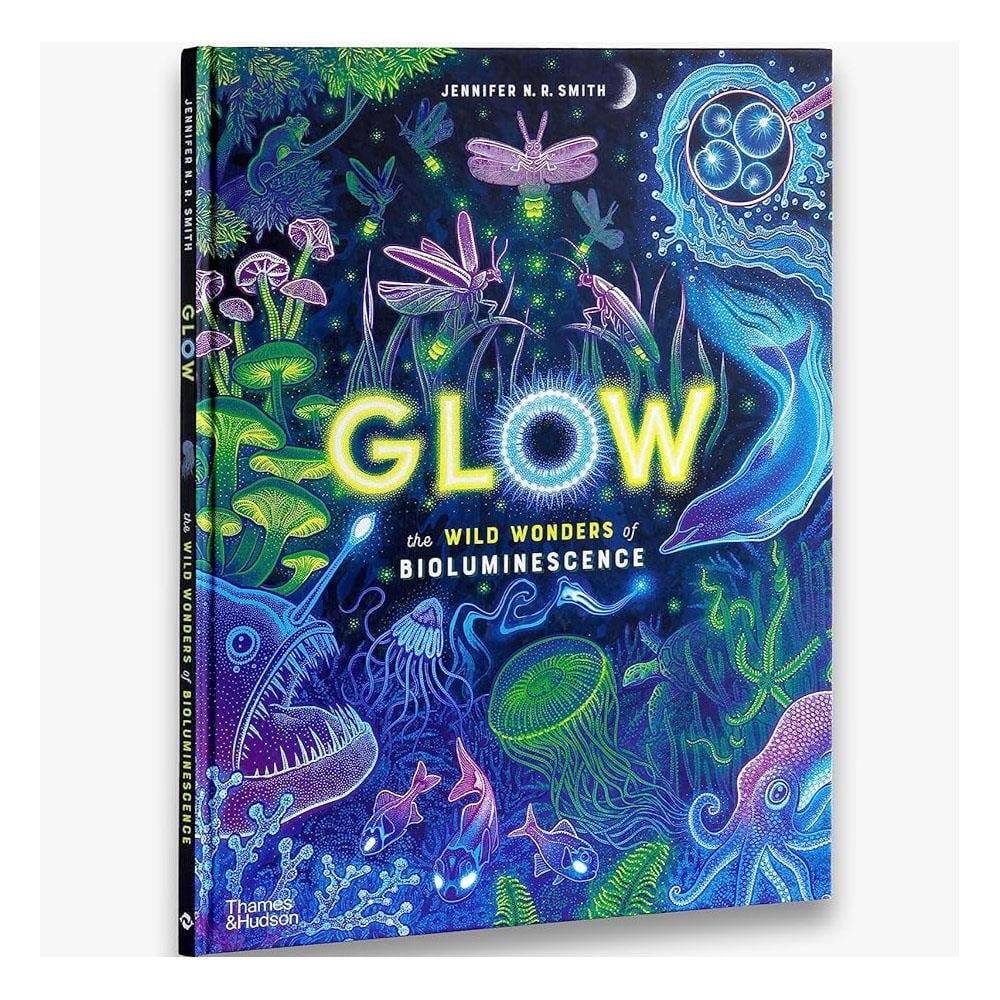 Glow - The Wild Wonders of Bioluminescence Çocuk Kitapları Uzmanı - Children's Books Expert