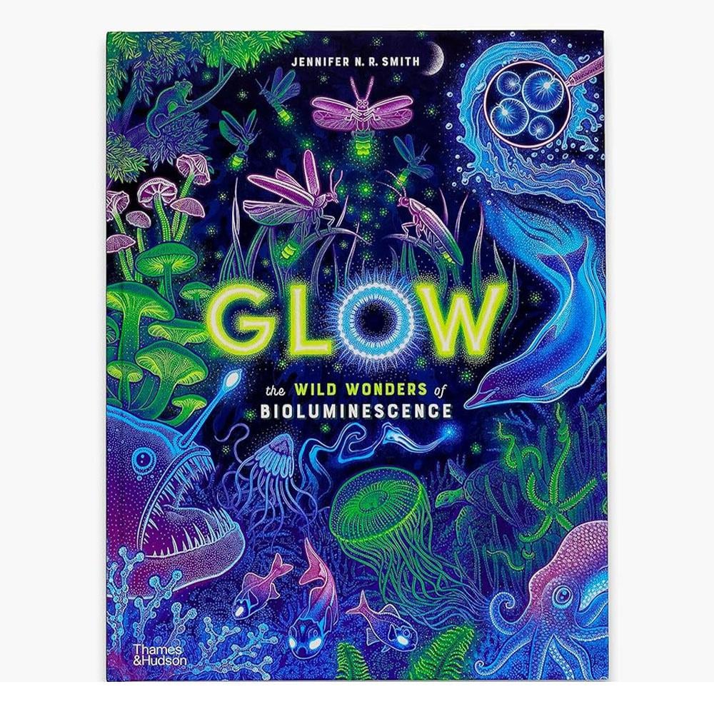 Glow - The Wild Wonders of Bioluminescence Çocuk Kitapları Uzmanı - Children's Books Expert