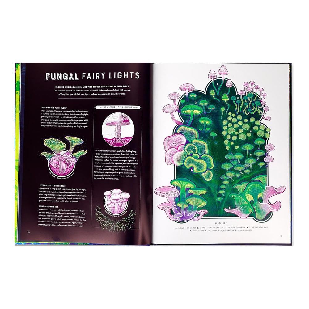 Glow - The Wild Wonders of Bioluminescence Çocuk Kitapları Uzmanı - Children's Books Expert