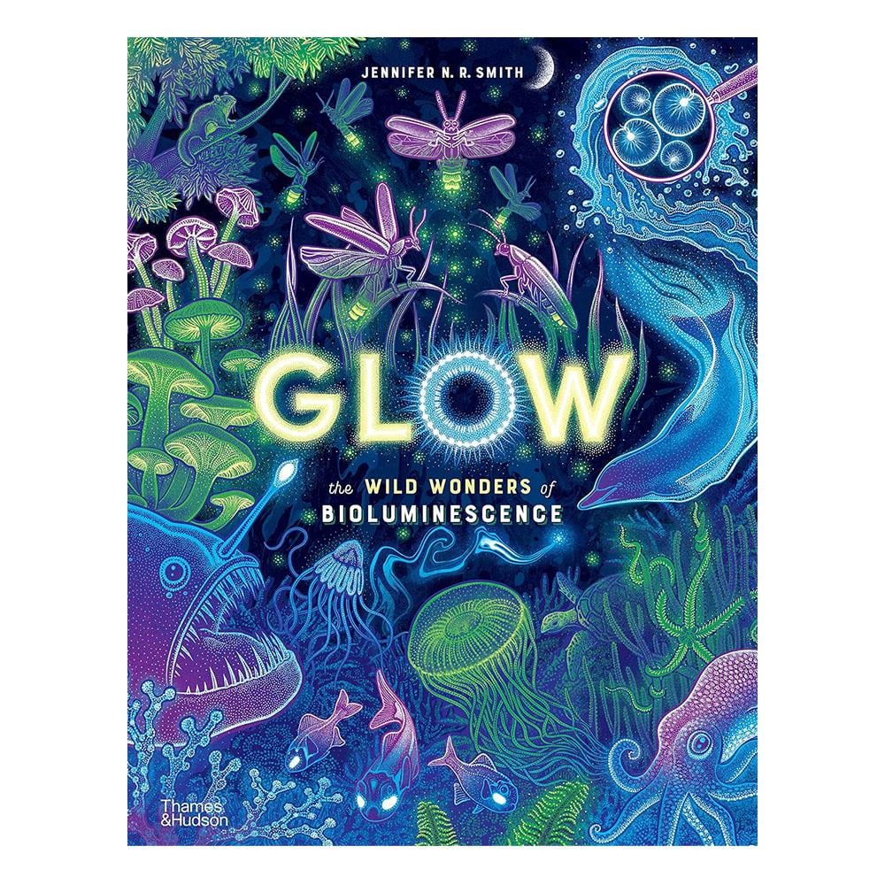 Glow - The Wild Wonders of Bioluminescence Çocuk Kitapları Uzmanı - Children's Books Expert