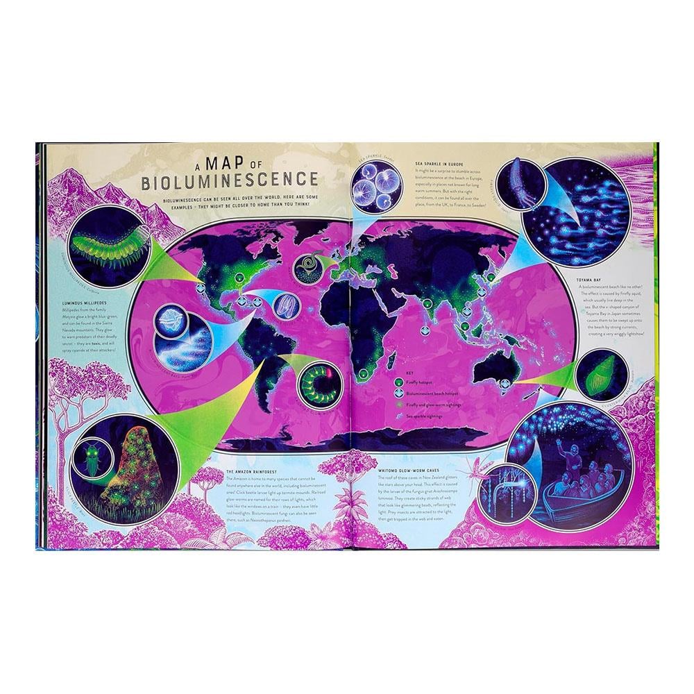 Glow - The Wild Wonders of Bioluminescence Çocuk Kitapları Uzmanı - Children's Books Expert