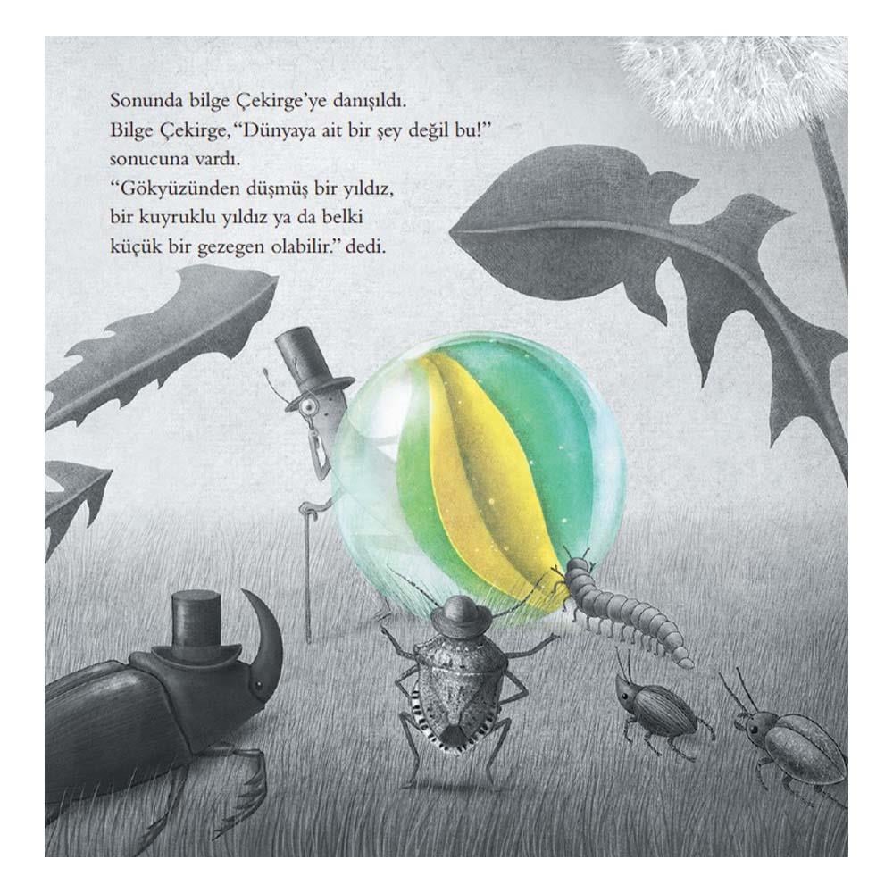 Gökyüzünden Düşen Çocuk Kitapları Uzmanı - Children's Books Expert