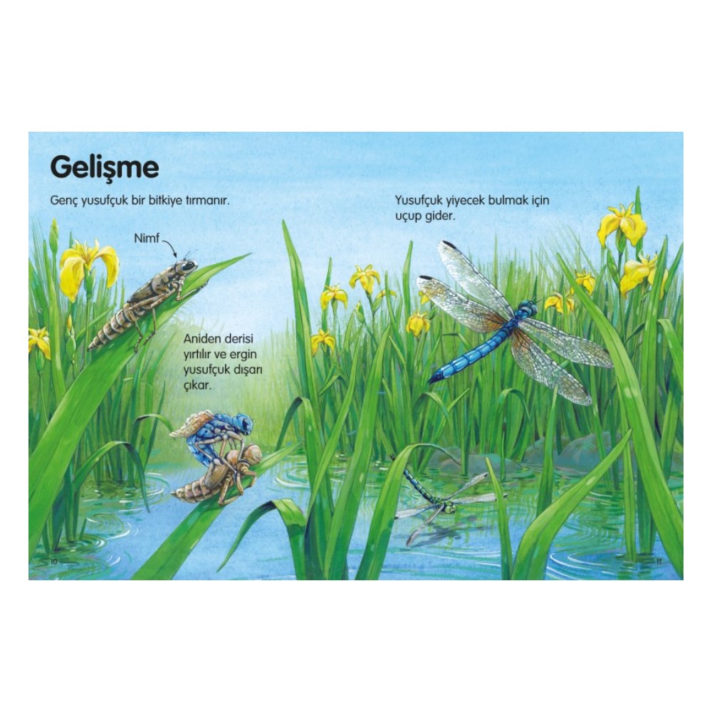 GÖLETLER - İLK OKUMA Çocuk Kitapları Uzmanı - Children's Books Expert