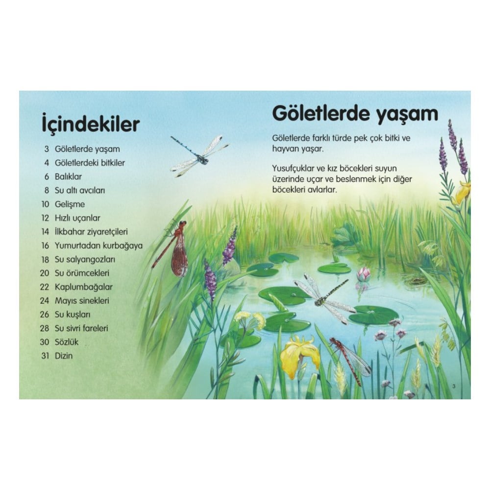 GÖLETLER - İLK OKUMA Çocuk Kitapları Uzmanı - Children's Books Expert