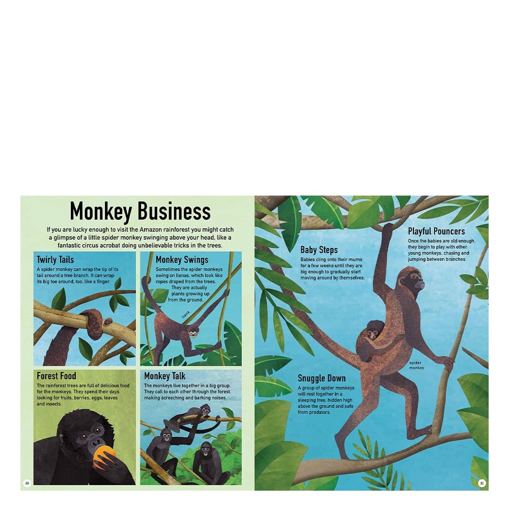 GREEN PLANET Çocuk Kitapları Uzmanı - Children's Books Expert