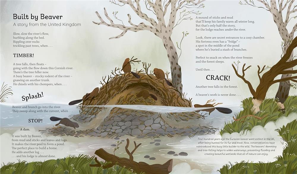 Happy Stories for Animal Lovers Çocuk Kitapları Uzmanı - Children's Books Expert