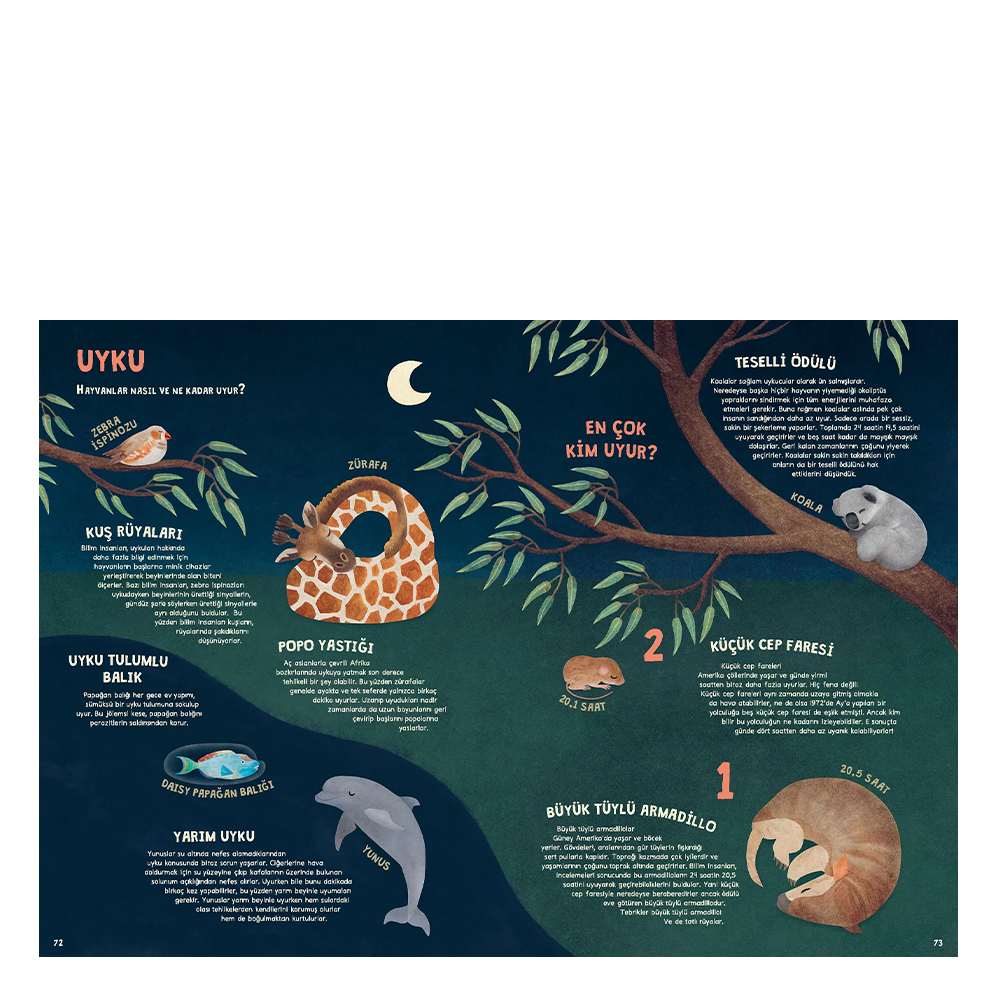 Hayvani Rekorlar Kitabı - Ciltli Çocuk Kitapları Uzmanı - Children's Books Expert