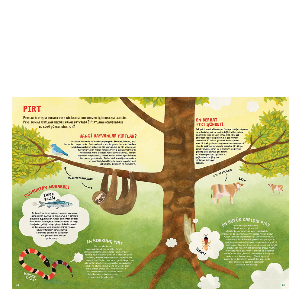 Hayvani Rekorlar Kitabı - Ciltli Çocuk Kitapları Uzmanı - Children's Books Expert