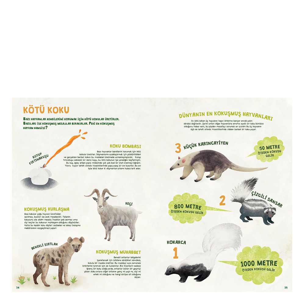 Hayvani Rekorlar Kitabı - Ciltli Çocuk Kitapları Uzmanı - Children's Books Expert