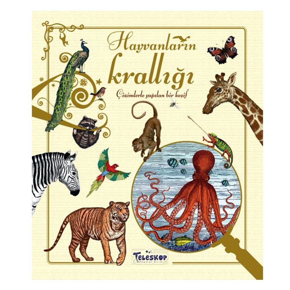 HAYVANLARIN KRALLIĞI Çocuk Kitapları Uzmanı - Children's Books Expert