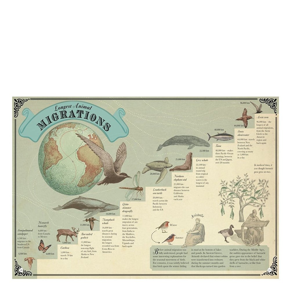 HIGHEST MOUNTAIN, DEEPEST OCEAN Çocuk Kitapları Uzmanı - Children's Books Expert