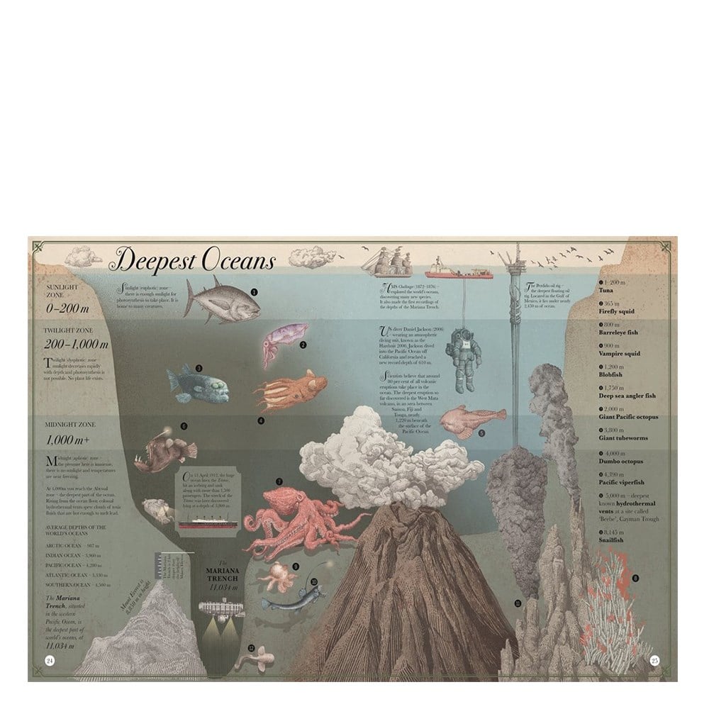 HIGHEST MOUNTAIN, DEEPEST OCEAN Çocuk Kitapları Uzmanı - Children's Books Expert