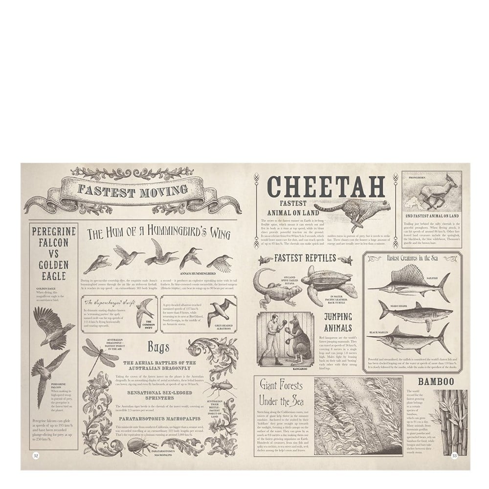 HIGHEST MOUNTAIN, DEEPEST OCEAN Çocuk Kitapları Uzmanı - Children's Books Expert