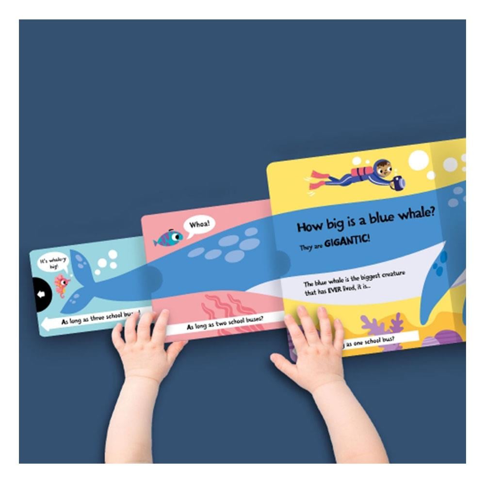 How Big Is A Bear - Board Book Çocuk Kitapları Uzmanı - Children's Books Expert
