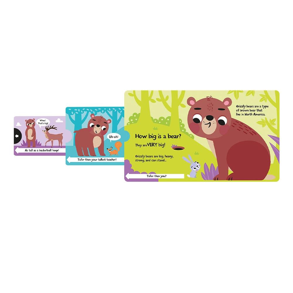 How Big Is A Bear - Board Book Çocuk Kitapları Uzmanı - Children's Books Expert