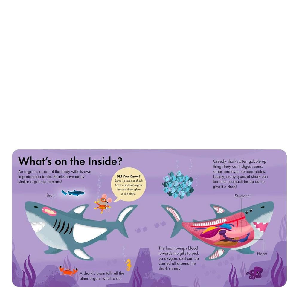 How it Works - Shark Çocuk Kitapları Uzmanı - Children's Books Expert