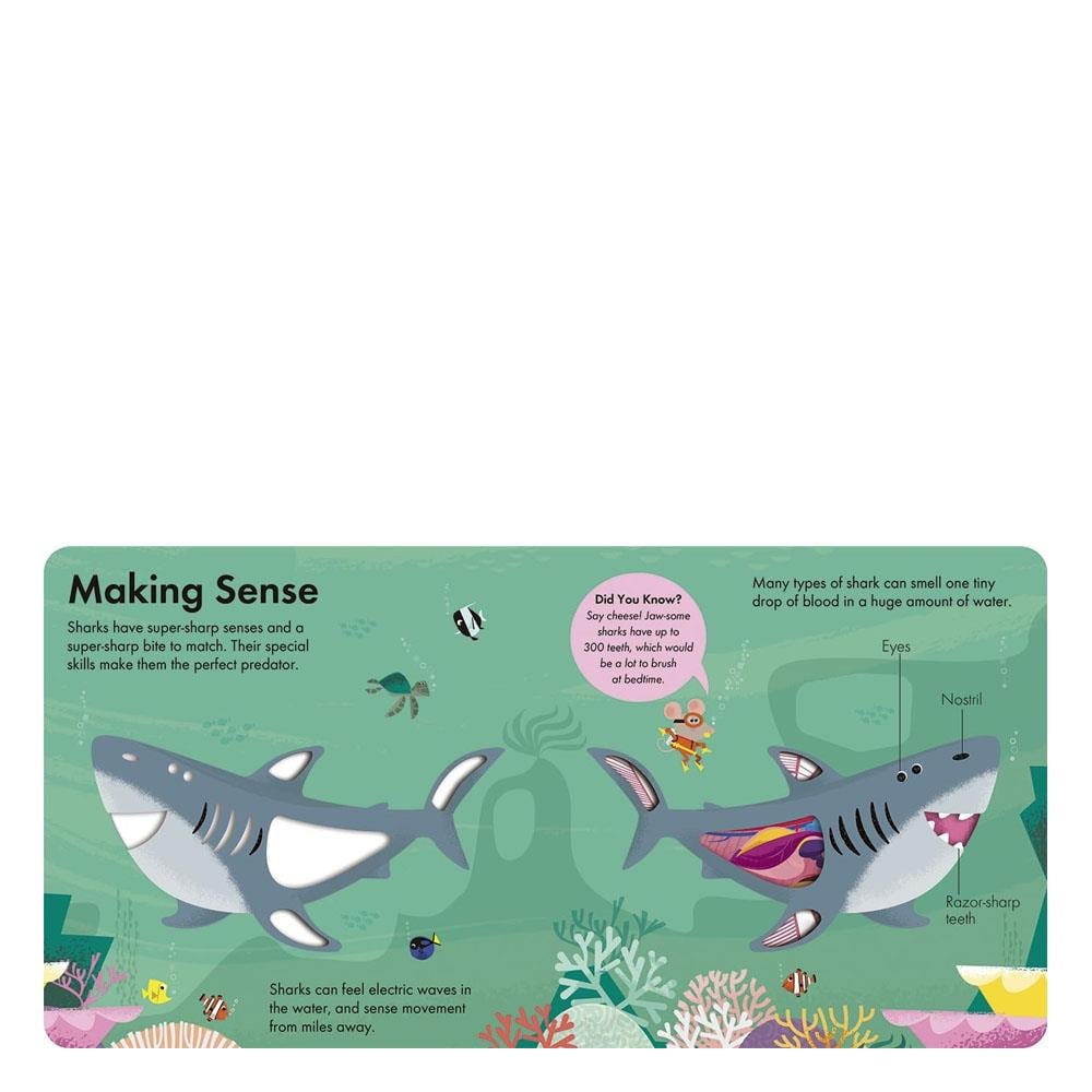 How it Works - Shark Çocuk Kitapları Uzmanı - Children's Books Expert