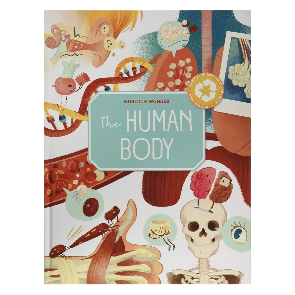 HUMAN BODY Çocuk Kitapları Uzmanı - Children's Books Expert